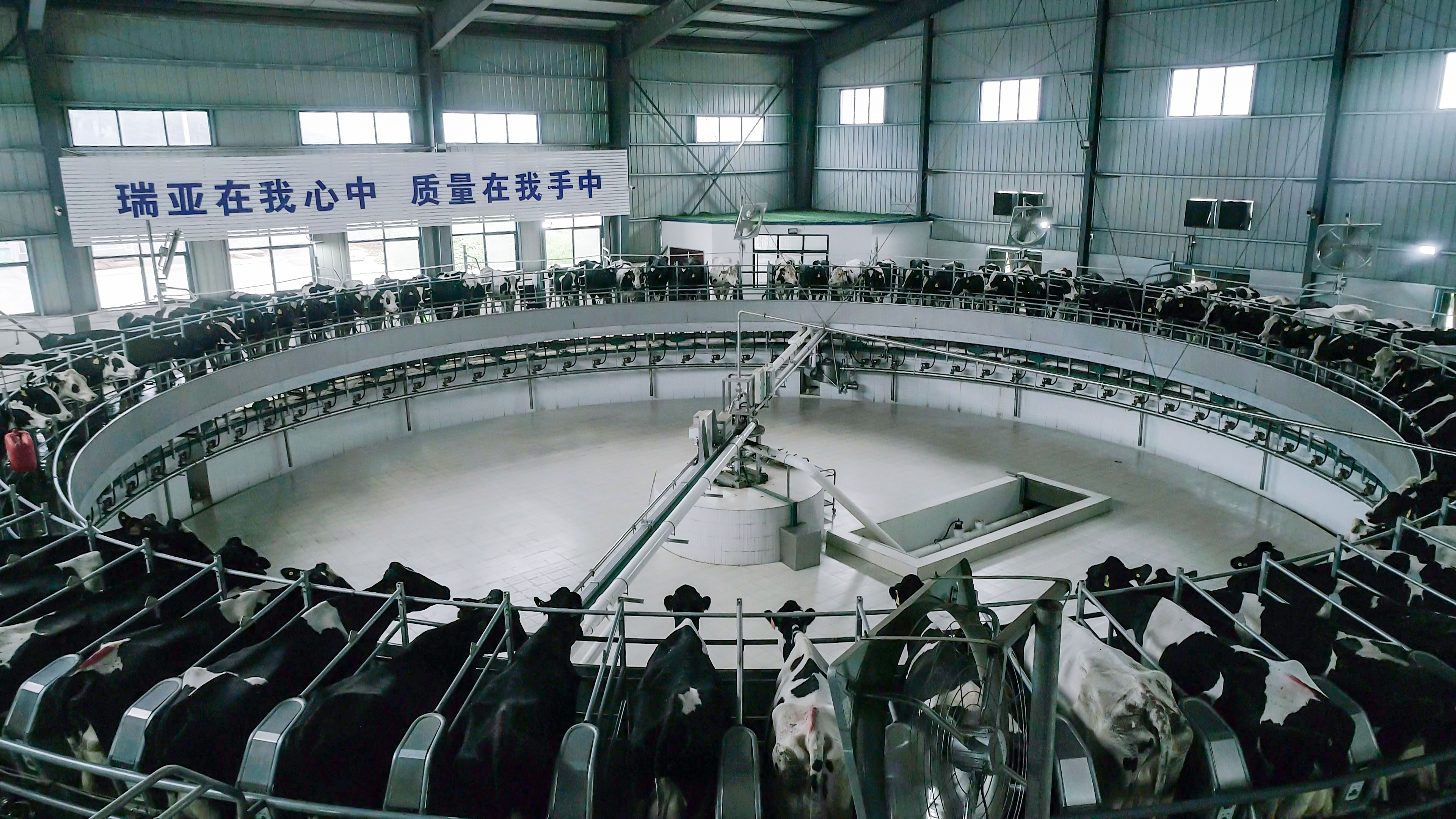 花花牛兩座自有牧場入選 河南省農業農村廳2021年度畜禽養殖標準化示范場 花花牛兩座自有牧場入選 河南省農業農村廳2021年度畜禽養殖標準化示范場