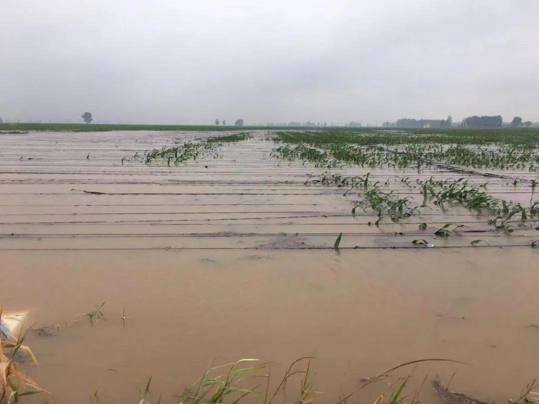 【乳報·聚焦】“豫”難而上的中原牛人“太中了”! 【乳報·聚焦】“豫”難而上的中原牛人“太中了”!