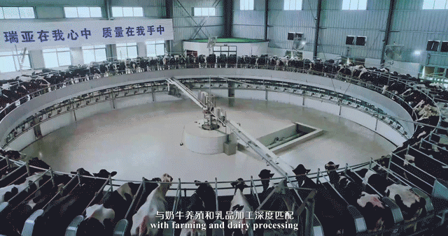 榮譽 | 2019年度河南省美麗牧場名單新鮮出爐 花花牛乳業集團旗下六個牧場榜上有名