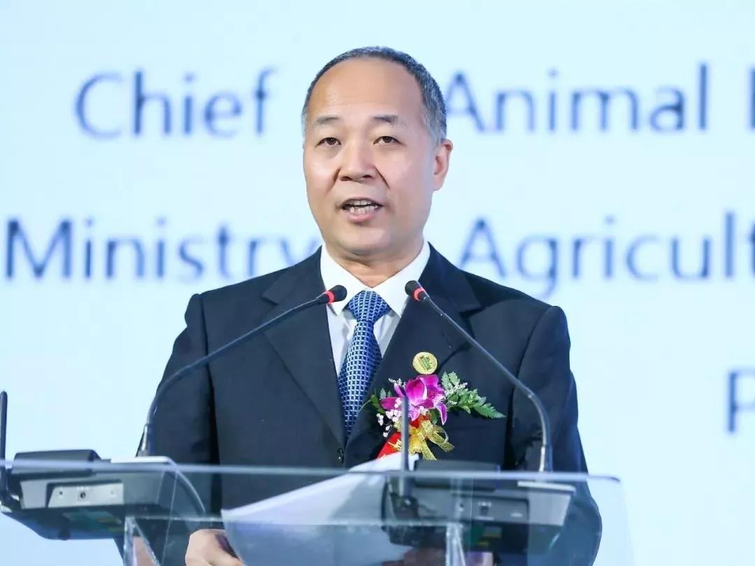 SDDDC走進(jìn)河南，看看花花牛的國際范兒！