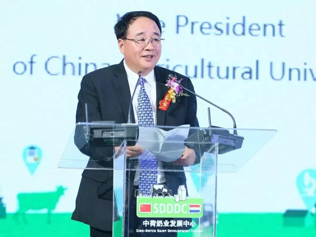 SDDDC走進(jìn)河南，看看花花牛的國際范兒！