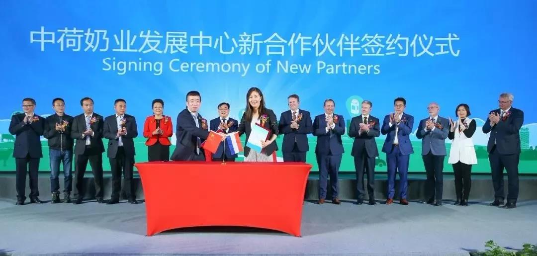 SDDDC走進(jìn)河南，看看花花牛的國際范兒！