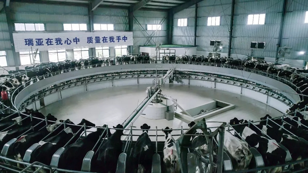 第31屆中原畜牧業交易博覽會 || 花花牛乳業集團獲“河南省畜牧行業——最具影響力品牌”獎 第31屆中原畜牧業交易博覽會 || 花花牛乳業集團獲“河南省畜牧行業——最具影響力品牌”獎