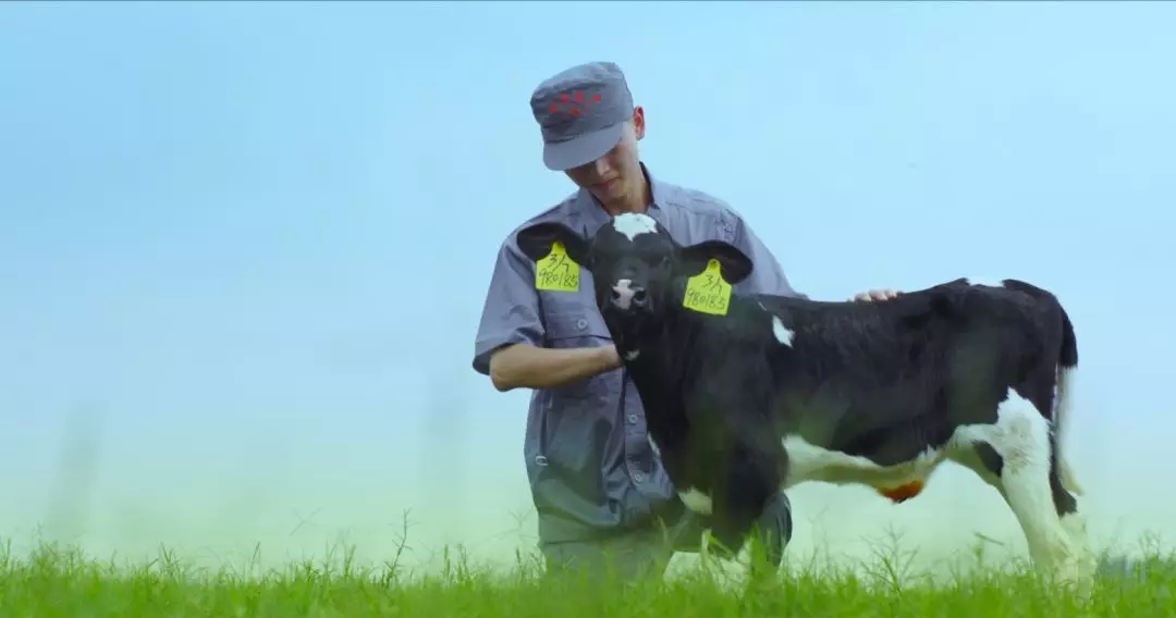 喜報 | 國家市場監管總局抽檢，花花牛等112家企業乳品抽檢全部合格