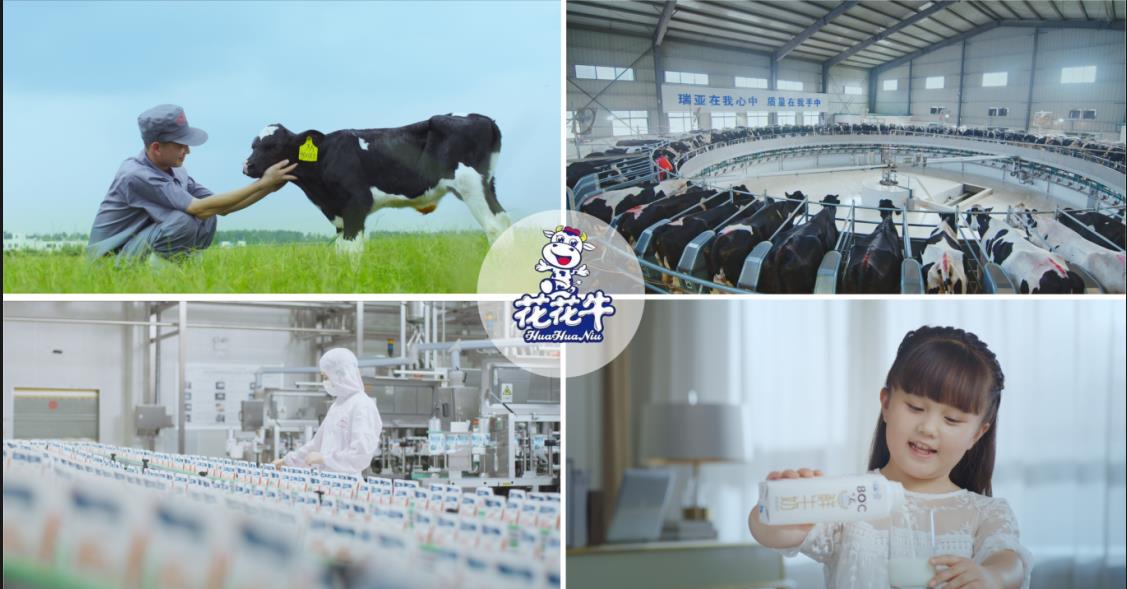 花花牛乳業集團——優秀非公有制行業領軍型企業 花花牛乳業集團——優秀非公有制行業領軍型企業