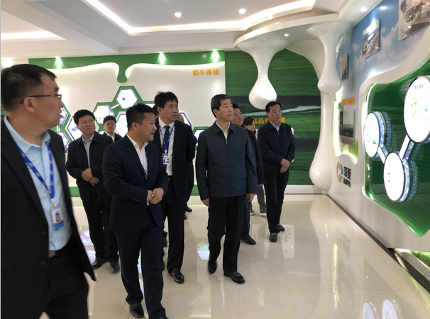 河南省委副書記、省長陳潤兒一行蒞臨 花花牛集團魯山瑞亞牧業有限公司視察調研