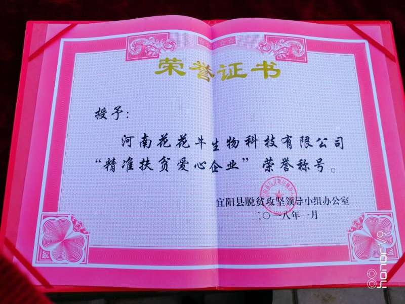 關(guān)愛成長(zhǎng) 相伴未來——精準(zhǔn)扶貧“暖冬公益行”走進(jìn)宜陽縣白楊鎮(zhèn)