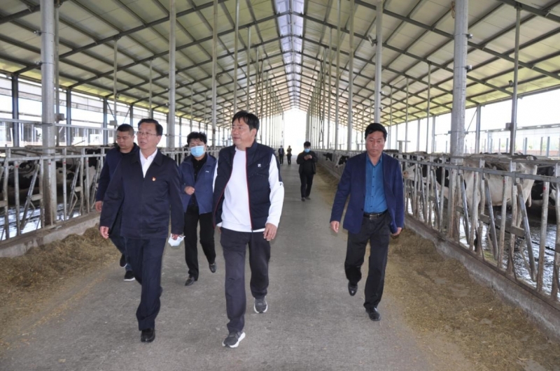 商丘市委常委、宣傳部部長王全周一行蒞臨睢縣瑞亞牧業有限公司調研